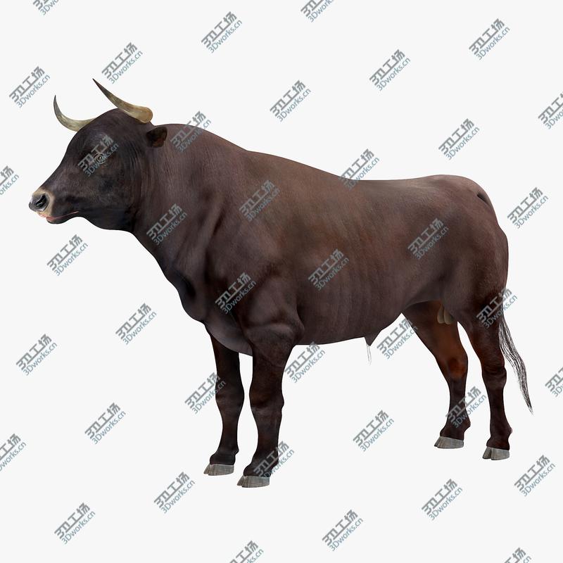 images/goods_img/2021040232/3D Bull Rigged model/1.jpg